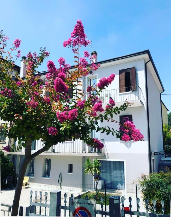 Hotel Civico21 Padua Exterior foto